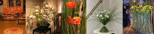 Flornet - Transnational Network