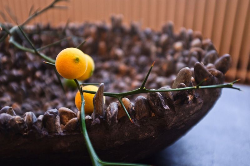 Floristmeisterprüfung 2018 – Zeugnisübergabe mit der IHK-Dresden